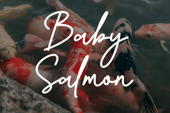 Baby Salmon: A Fluid Script Typeface for Editorial Design