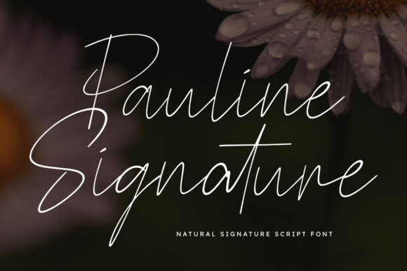 Pauline Signature Font for Modern Web Design